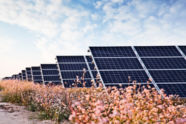 中國(guó)華能的“高性價(jià)比”光伏電站，妙招在這里！